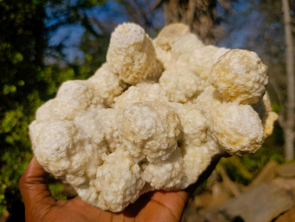 Natural Agatized Coral Specimen with Stalagmites x 1 From Didi, Madagascar - Toprock Gemstones and Minerals 