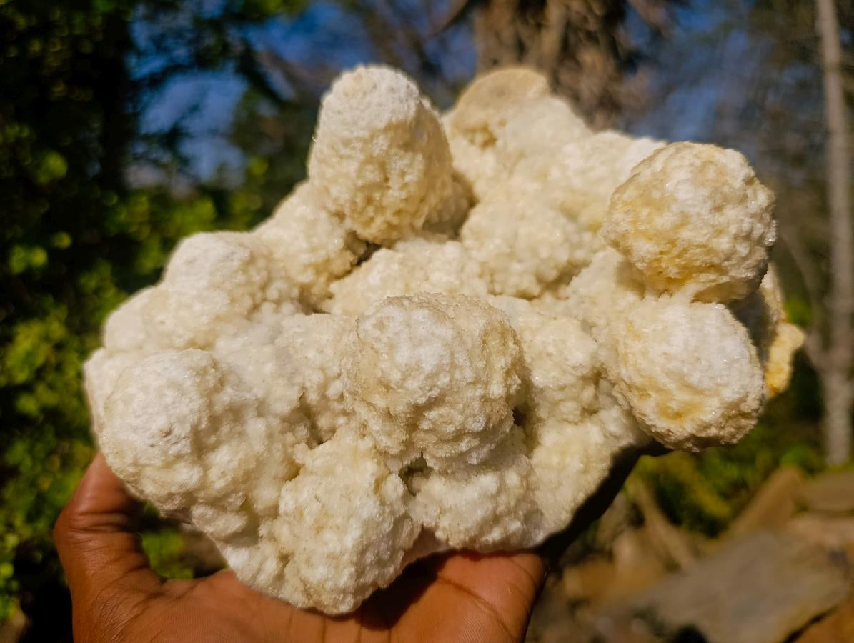 Natural Agatized Coral Specimen with Stalagmites x 1 From Didi, Madagascar - Toprock Gemstones and Minerals 