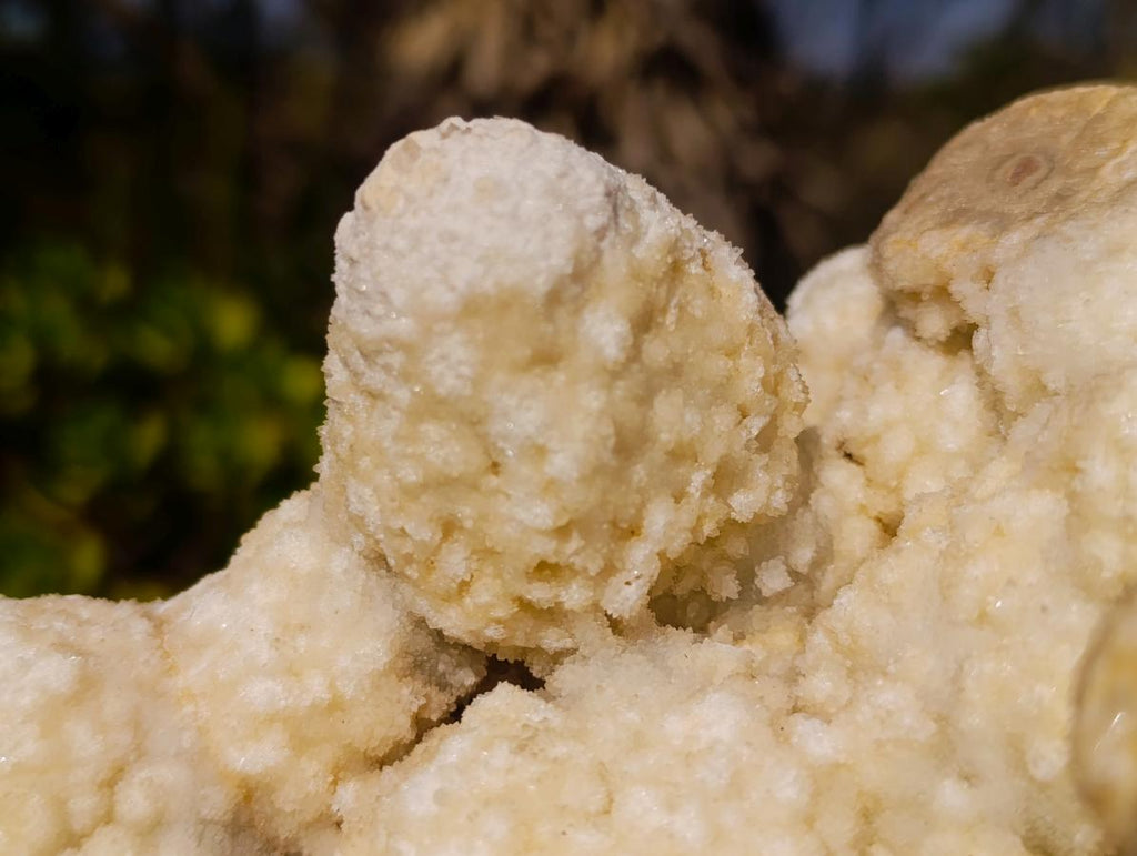 Natural Agatized Coral Specimen with Stalagmites x 1 From Didi, Madagascar - Toprock Gemstones and Minerals 