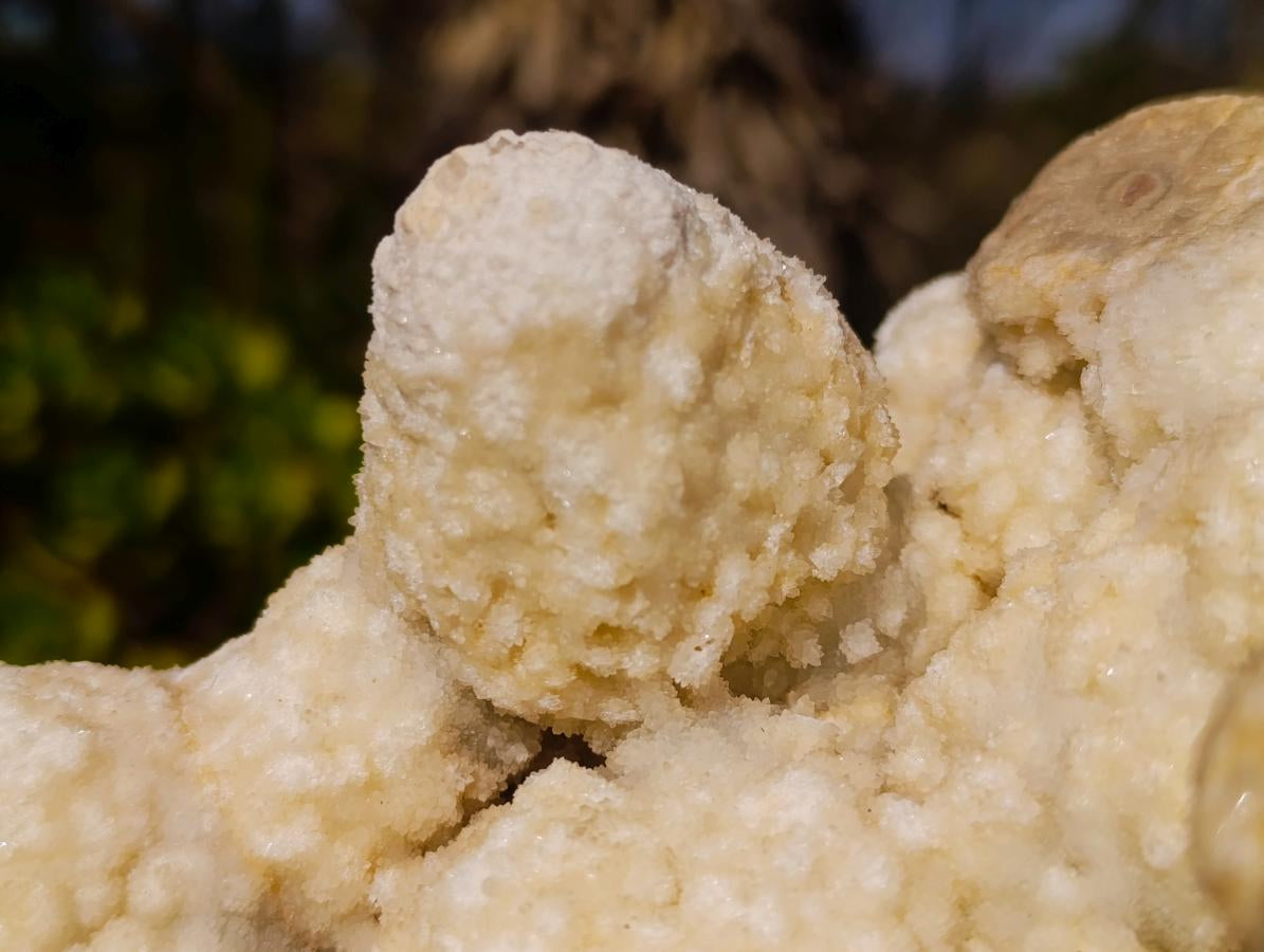 Natural Agatized Coral Specimen with Stalagmites x 1 From Didi, Madagascar - Toprock Gemstones and Minerals 