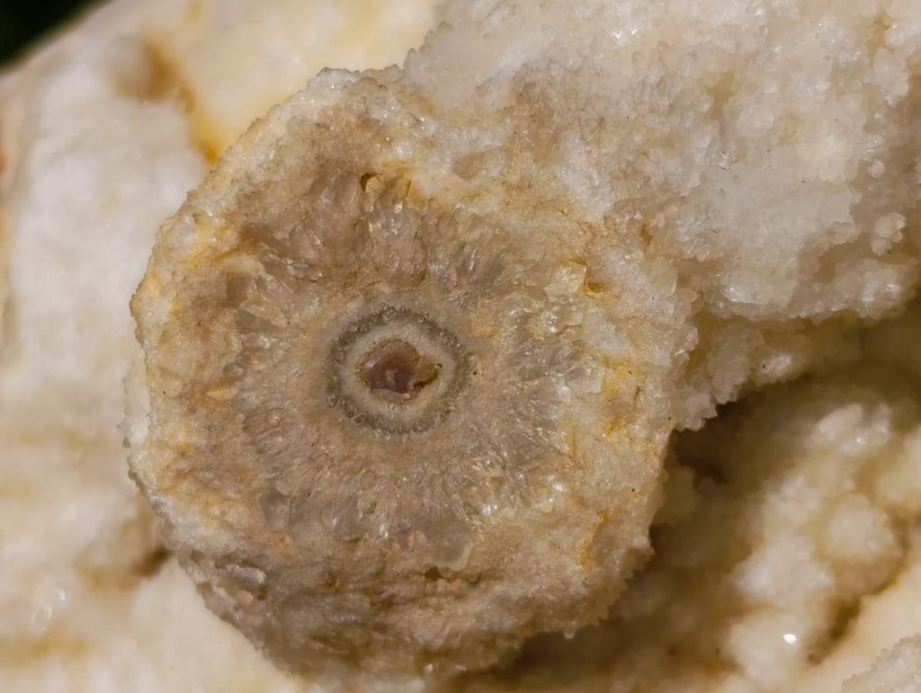 Natural Agatized Coral Specimen with Stalagmites x 1 From Didi, Madagascar - Toprock Gemstones and Minerals 