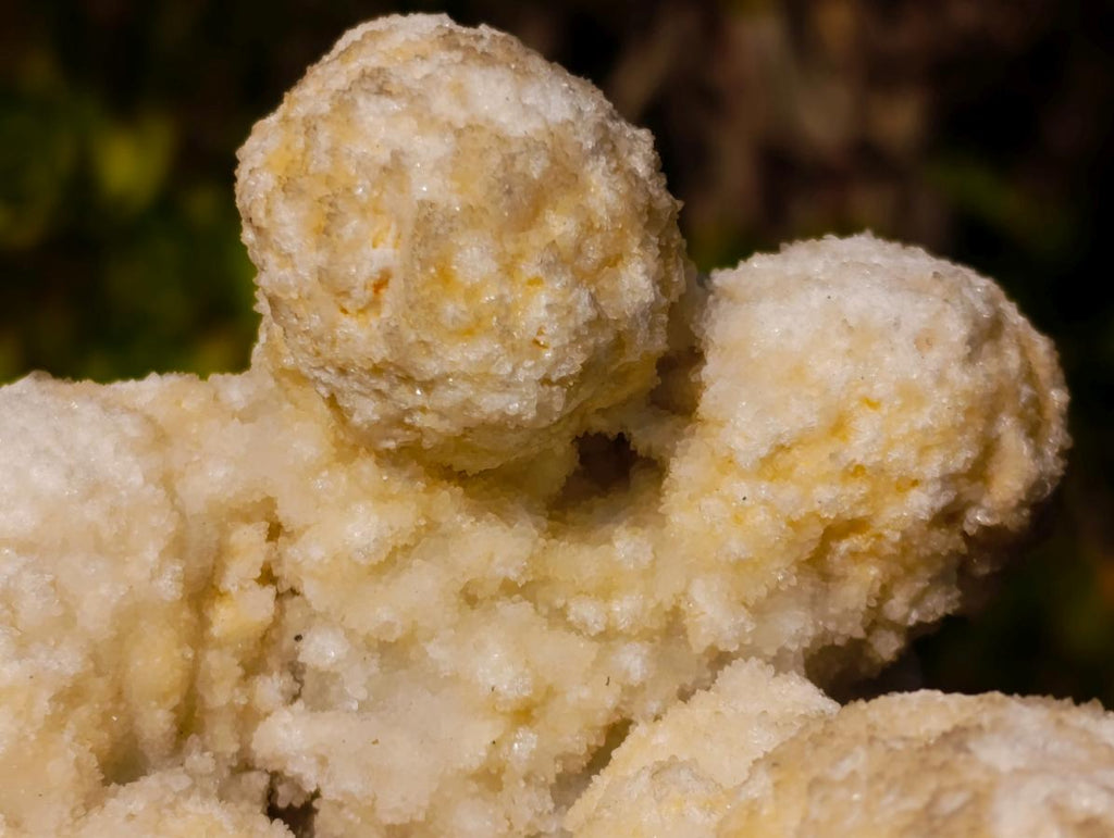 Natural Agatized Coral Specimen with Stalagmites x 1 From Didi, Madagascar - Toprock Gemstones and Minerals 