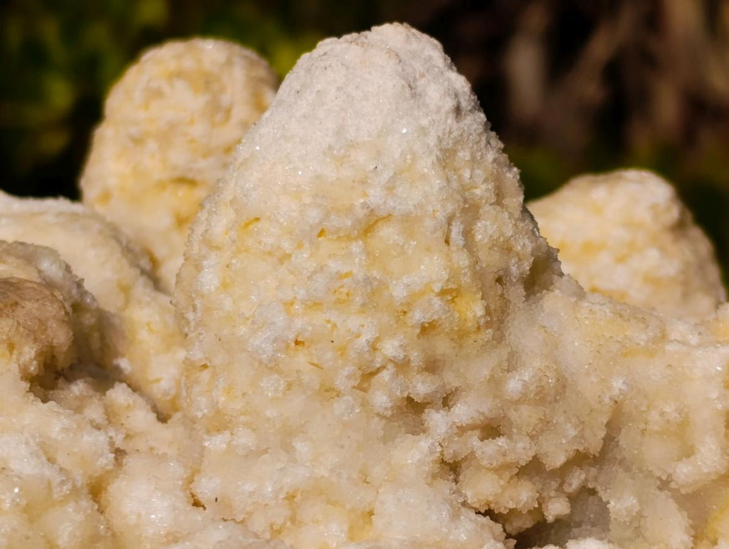Natural Agatized Coral Specimen with Stalagmites x 1 From Didi, Madagascar - Toprock Gemstones and Minerals 