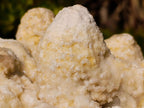 Natural Agatized Coral Specimen with Stalagmites x 1 From Didi, Madagascar - Toprock Gemstones and Minerals 