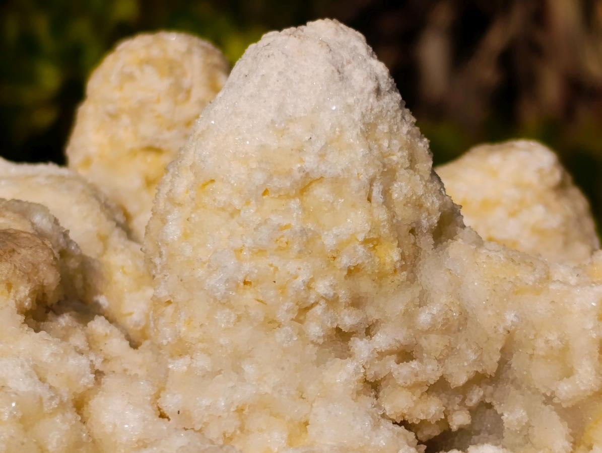 Natural Agatized Coral Specimen with Stalagmites x 1 From Didi, Madagascar - Toprock Gemstones and Minerals 