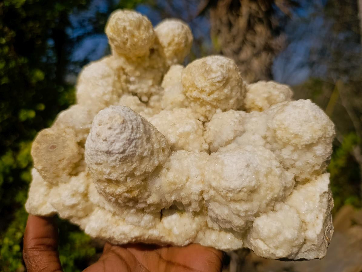 Natural Agatized Coral Specimen with Stalagmites x 1 From Didi, Madagascar - Toprock Gemstones and Minerals 