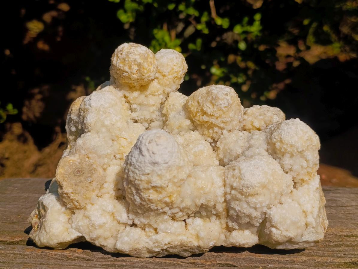 Natural Agatized Coral Specimen with Stalagmites x 1 From Didi, Madagascar - Toprock Gemstones and Minerals 