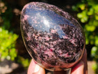 Polished Rhodonite Gemstone Eggs x 3 From Ambindavato, Madagascar - Toprock Gemstones and Minerals 