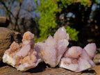 Natural Spirit Amethyst Clusters x 12 From Boekenhouthoek, South Africa - Toprock Gemstones and Minerals 