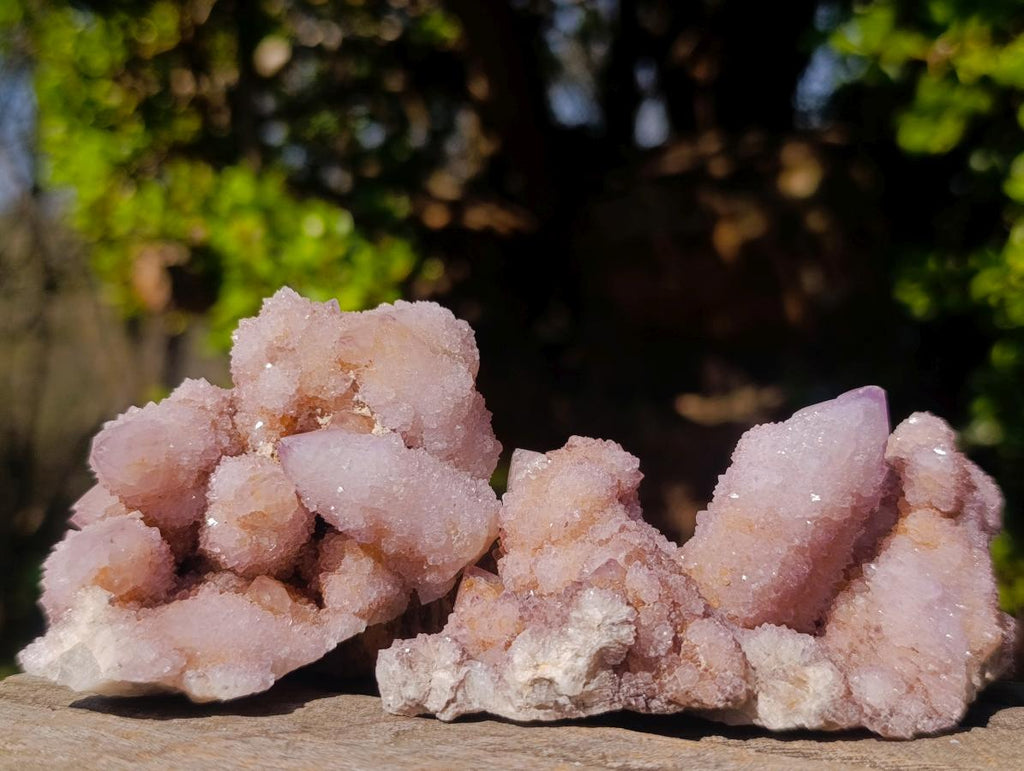 Natural Spirit Amethyst Clusters x 12 From Boekenhouthoek, South Africa - Toprock Gemstones and Minerals 