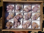 Natural Spirit Amethyst Clusters x 12 From Boekenhouthoek, South Africa - Toprock Gemstones and Minerals 