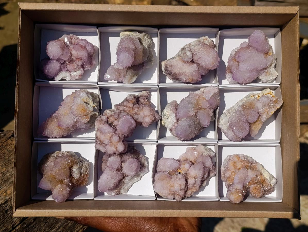 Natural Spirit Amethyst Clusters x 12 From Boekenhouthoek, South Africa - Toprock Gemstones and Minerals 