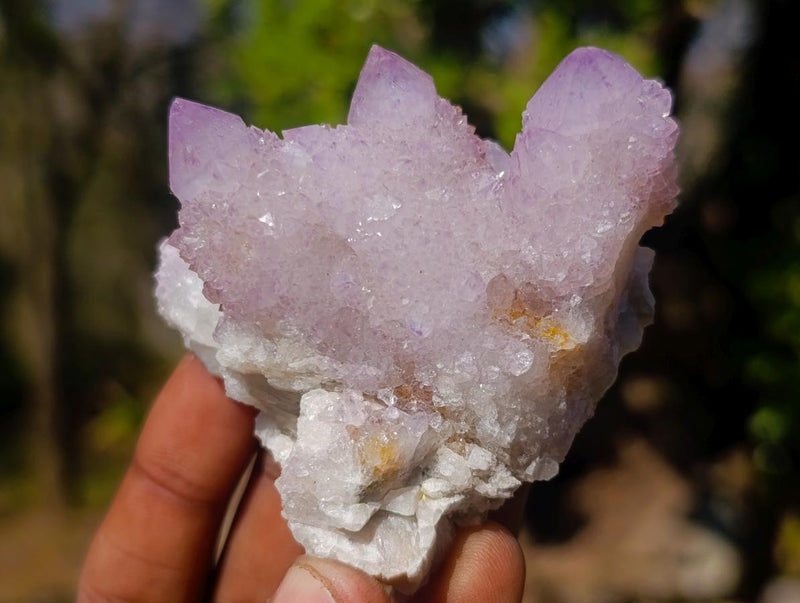 Natural Spirit Amethyst Clusters x 12 From Boekenhouthoek, South Africa - Toprock Gemstones and Minerals 