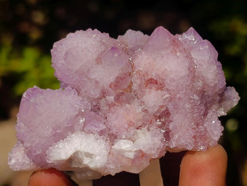 Natural Spirit Amethyst Clusters x 12 From Boekenhouthoek, South Africa - Toprock Gemstones and Minerals 