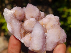 Natural Spirit Amethyst Clusters x 12 From Boekenhouthoek, South Africa - Toprock Gemstones and Minerals 