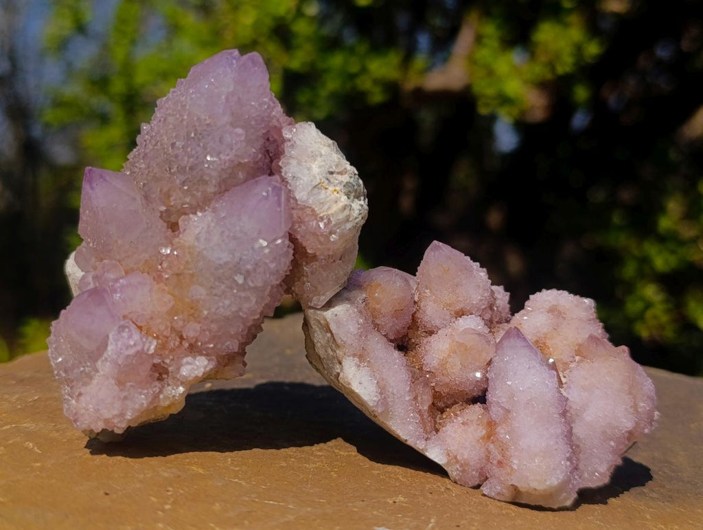 Natural Spirit Amethyst Clusters x 12 From Boekenhouthoek, South Africa - Toprock Gemstones and Minerals 
