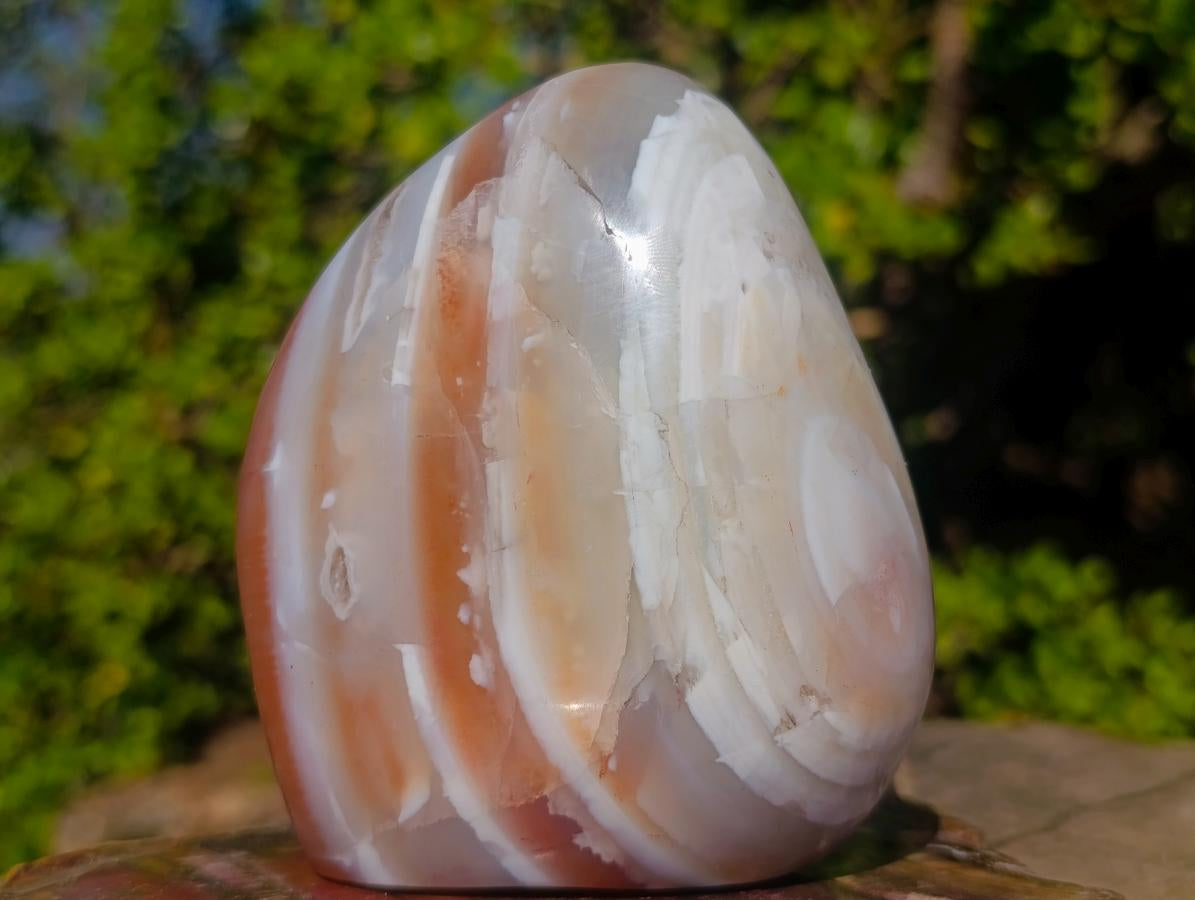 Polished Shashe River Agate Standing Display Pieces x 2 From Shashe River, Zimbabwe - Toprock Gemstones and Minerals 