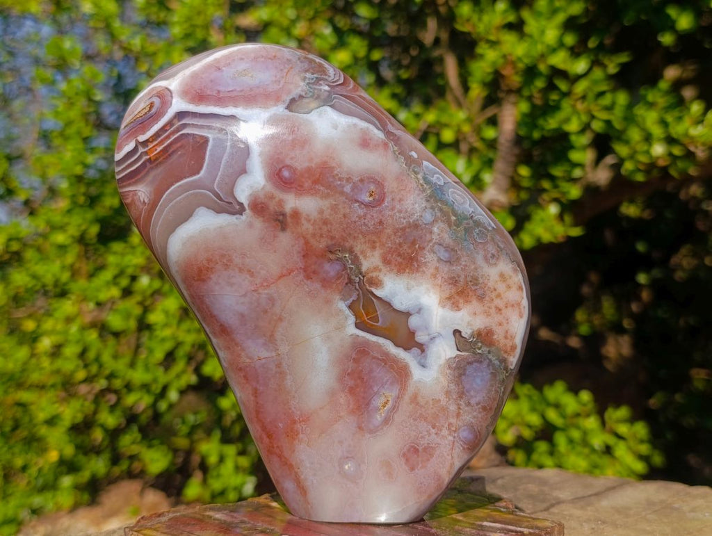 Polished Shashe River Agate Standing Display Pieces x 2 From Shashe River, Zimbabwe - Toprock Gemstones and Minerals 