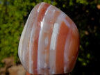 Polished Shashe River Agate Standing Display Pieces x 2 From Shashe River, Zimbabwe - Toprock Gemstones and Minerals 