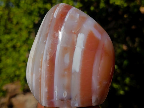 Polished Shashe River Agate Standing Display Pieces x 2 From Shashe River, Zimbabwe - Toprock Gemstones and Minerals 