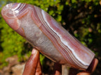 Polished Shashe River Agate Standing Display Pieces x 2 From Shashe River, Zimbabwe - Toprock Gemstones and Minerals 
