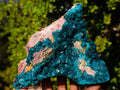 Natural Large Cabinet Size Triangular Dioptase on Dolomite Specimen x 1 From Mashamba East Mine, Congo - Toprock Gemstones and Minerals 