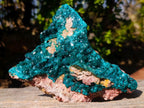 Natural Large Cabinet Size Triangular Dioptase on Dolomite Specimen x 1 From Mashamba East Mine, Congo - Toprock Gemstones and Minerals 