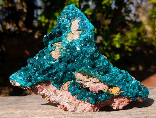 Natural Large Cabinet Size Triangular Dioptase on Dolomite Specimen x 1 From Mashamba East Mine, Congo - Toprock Gemstones and Minerals 