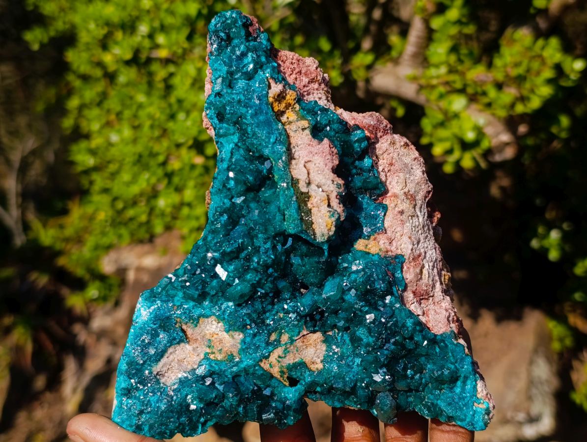 Natural Large Cabinet Size Triangular Dioptase on Dolomite Specimen x 1 From Mashamba East Mine, Congo - Toprock Gemstones and Minerals 