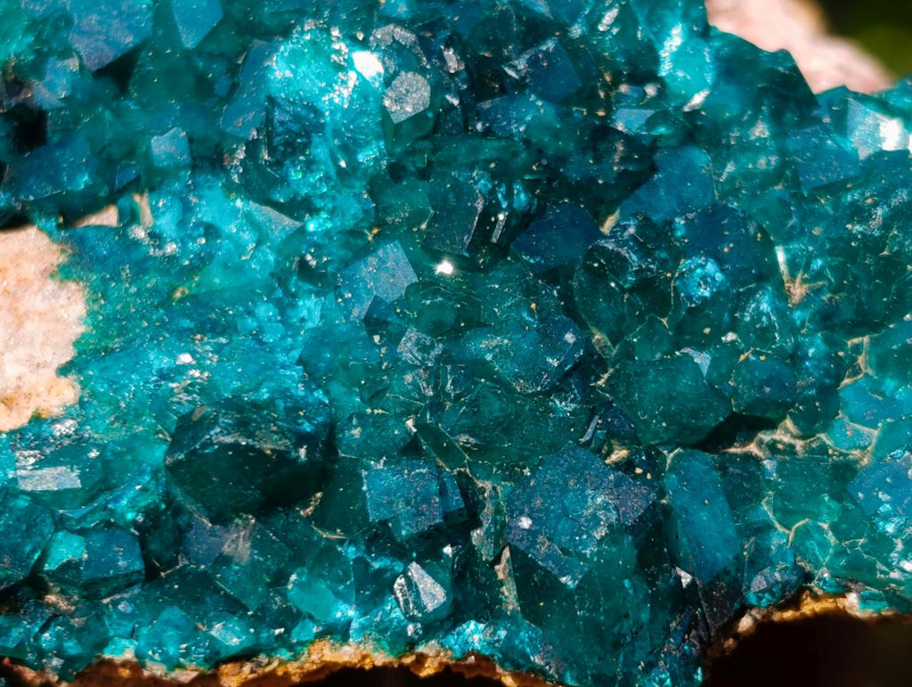 Natural Large Cabinet Size Triangular Dioptase on Dolomite Specimen x 1 From Mashamba East Mine, Congo - Toprock Gemstones and Minerals 