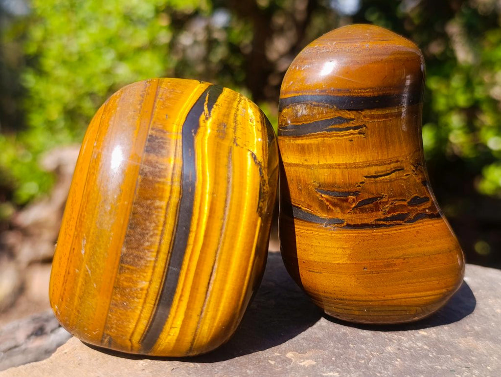 Polished Golden Tigers Eye Free Forms x 6 From Prieska, South Africa - Toprock Gemstones and Minerals 