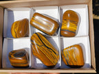 Polished Golden Tigers Eye Free Forms x 6 From Prieska, South Africa - Toprock Gemstones and Minerals 