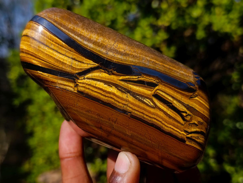 Polished Golden Tigers Eye Free Forms x 6 From Prieska, South Africa - Toprock Gemstones and Minerals 