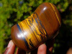 Polished Golden Tigers Eye Free Forms x 6 From Prieska, South Africa - Toprock Gemstones and Minerals 