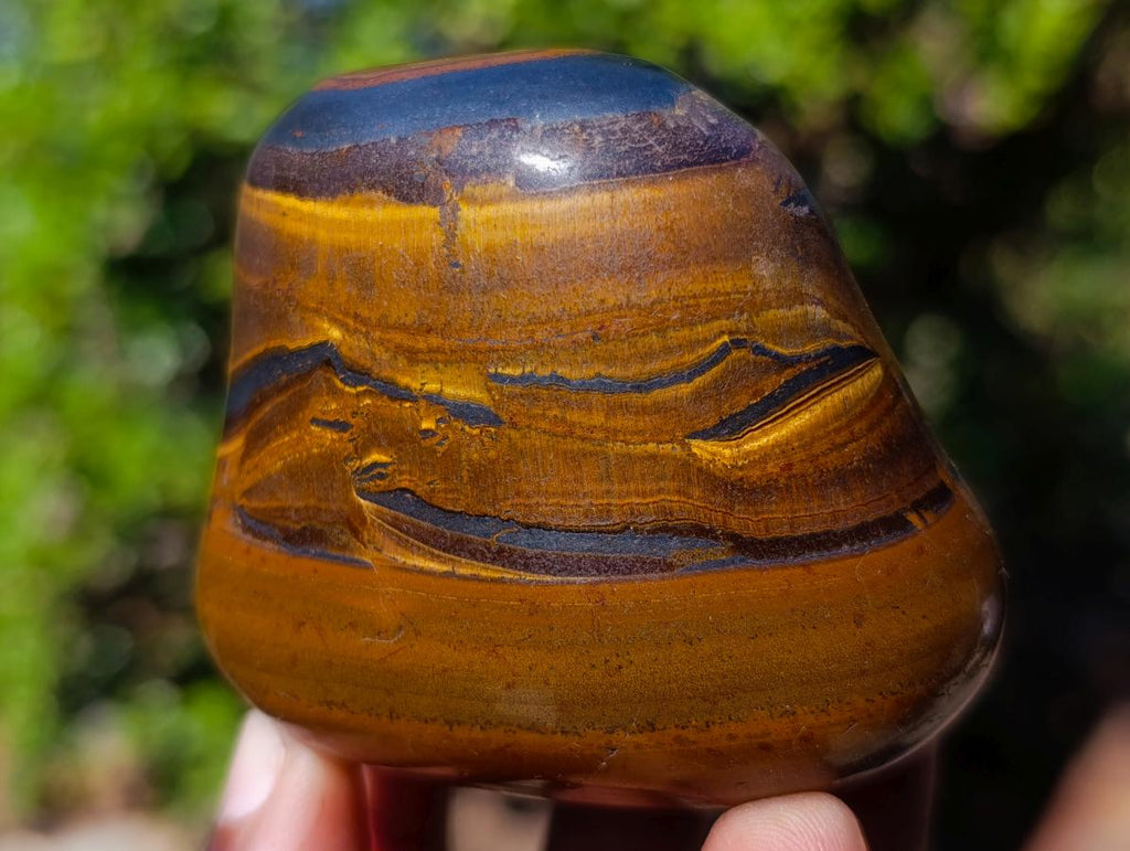 Polished Golden Tigers Eye Free Forms x 6 From Prieska, South Africa - Toprock Gemstones and Minerals 