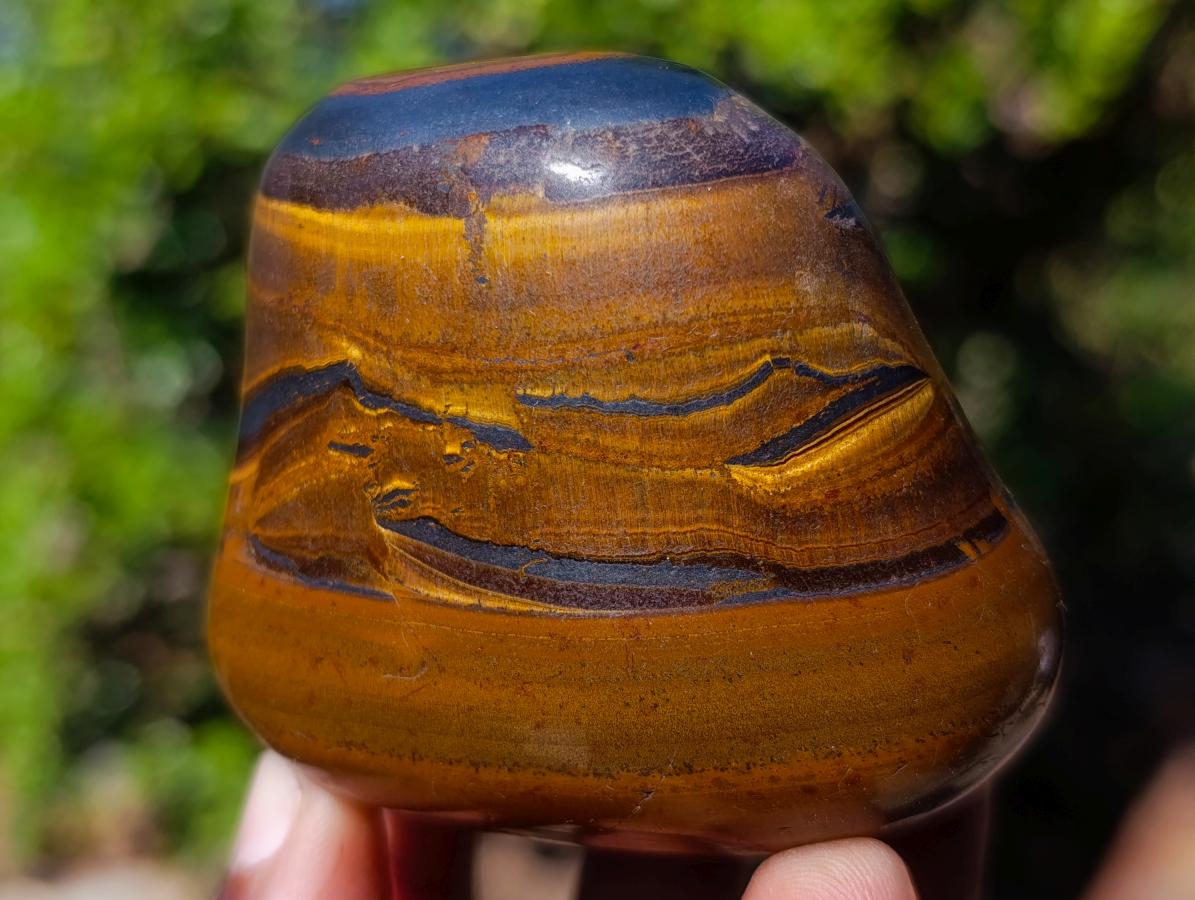 Polished Golden Tigers Eye Free Forms x 6 From Prieska, South Africa - Toprock Gemstones and Minerals 