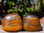 Polished Golden Tigers Eye Free Forms x 6 From Prieska, South Africa - Toprock Gemstones and Minerals 