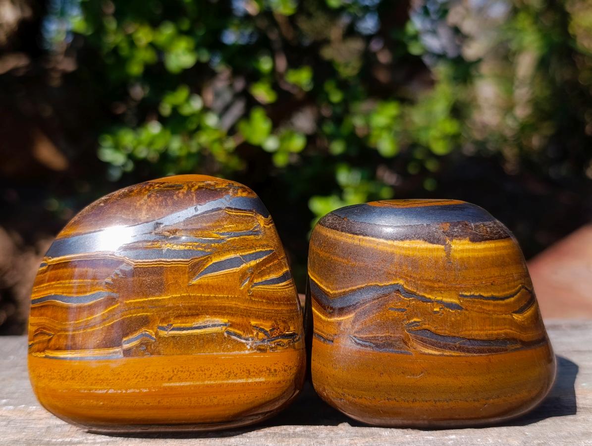 Polished Golden Tigers Eye Free Forms x 6 From Prieska, South Africa - Toprock Gemstones and Minerals 