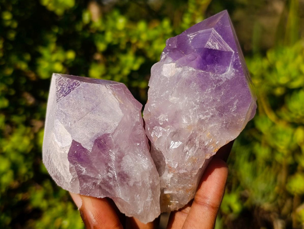 Natural Jacaranda Amethyst Single Crystals x 12 From Mumbwa, Zambia - Toprock Gemstones and Minerals 