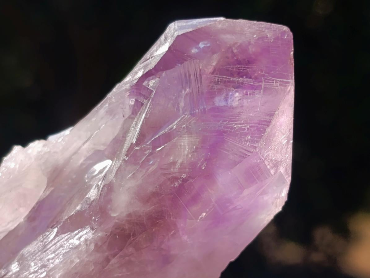Natural Jacaranda Amethyst Single Crystals x 12 From Mumbwa, Zambia - Toprock Gemstones and Minerals 