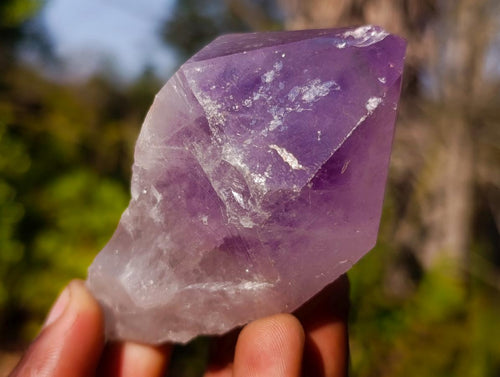 Natural Jacaranda Amethyst Single Crystals x 12 From Mumbwa, Zambia - Toprock Gemstones and Minerals 
