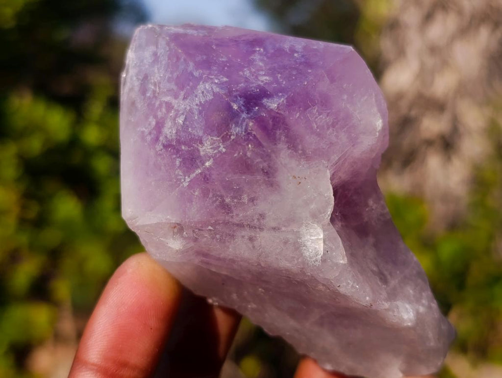 Natural Jacaranda Amethyst Single Crystals x 12 From Mumbwa, Zambia - Toprock Gemstones and Minerals 