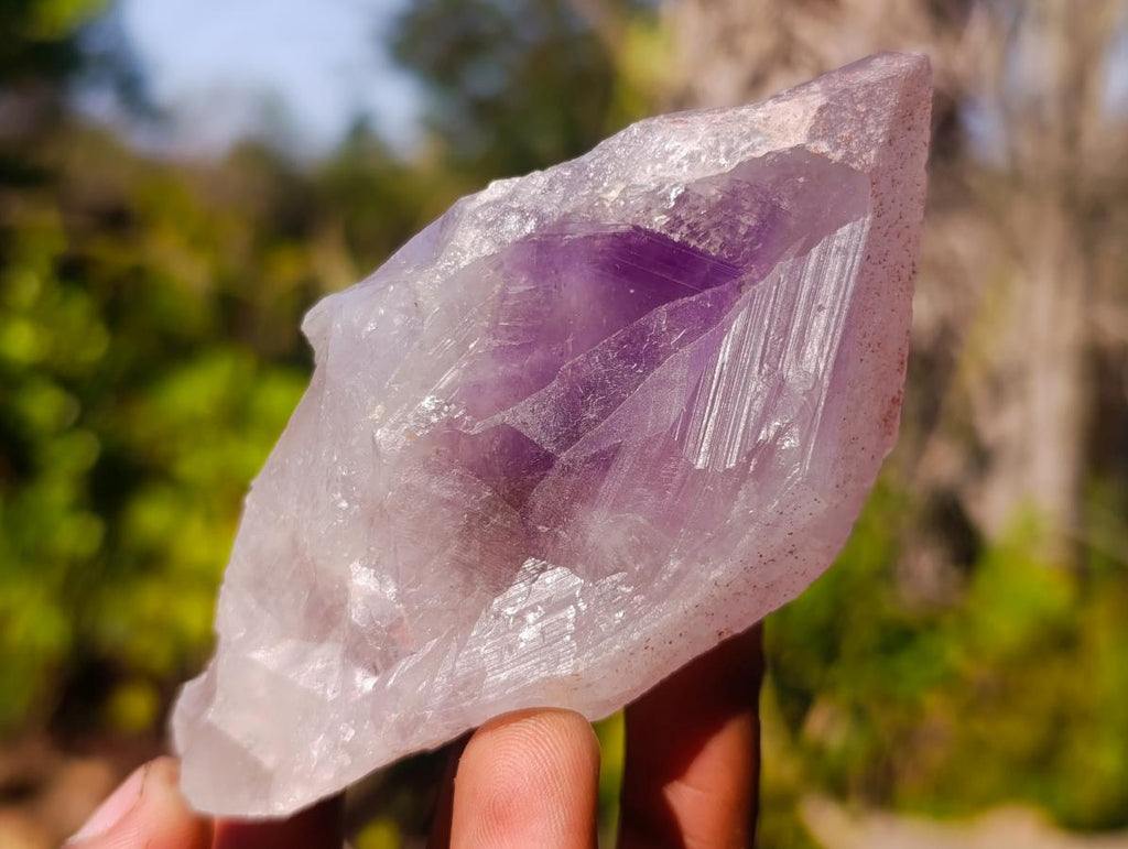 Natural Jacaranda Amethyst Single Crystals x 12 From Mumbwa, Zambia - Toprock Gemstones and Minerals 