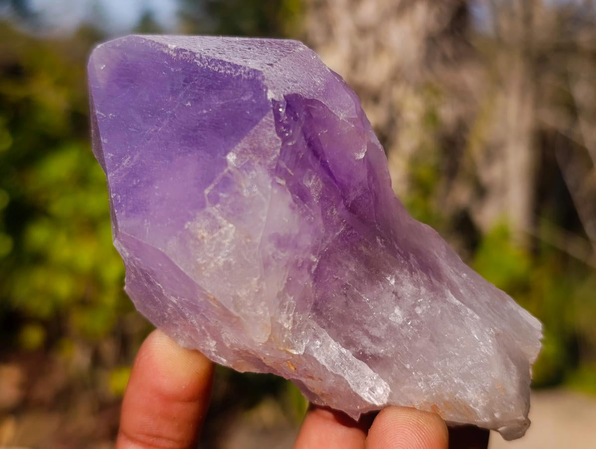 Natural Jacaranda Amethyst Single Crystals x 12 From Mumbwa, Zambia - Toprock Gemstones and Minerals 