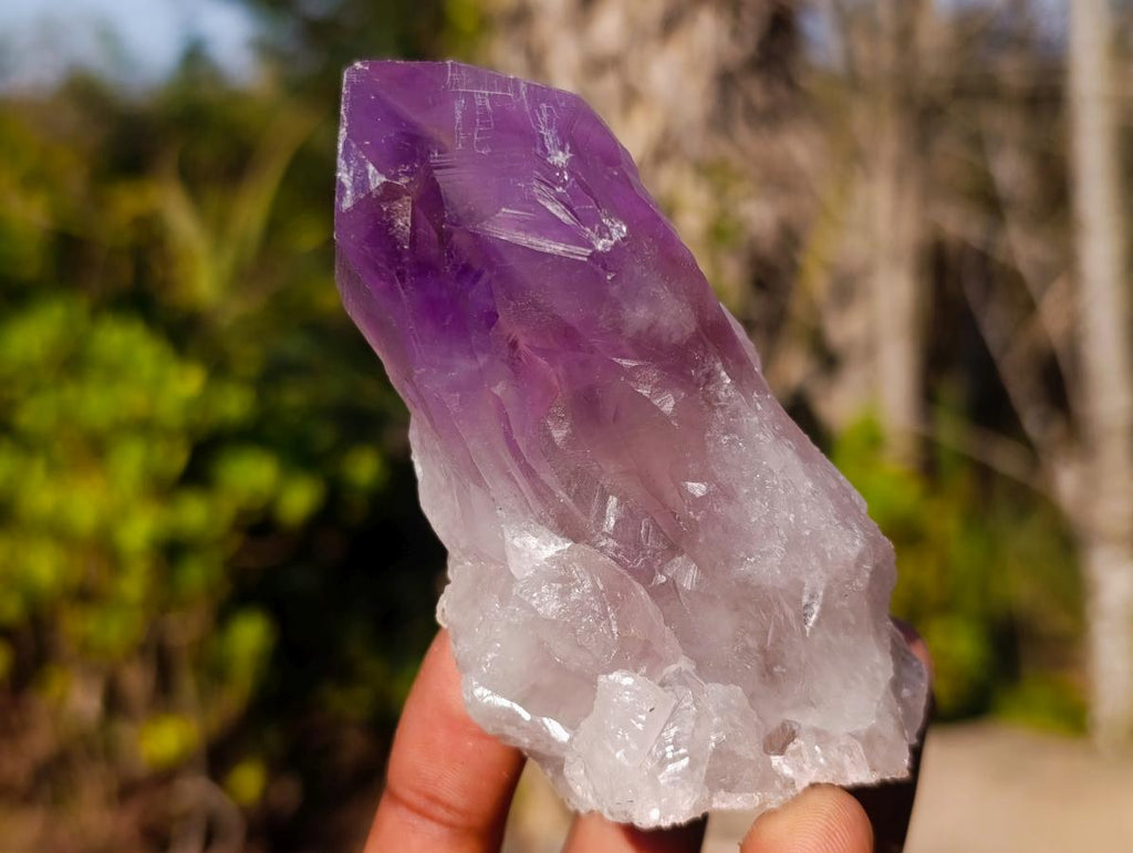 Natural Jacaranda Amethyst Single Crystals x 12 From Mumbwa, Zambia - Toprock Gemstones and Minerals 