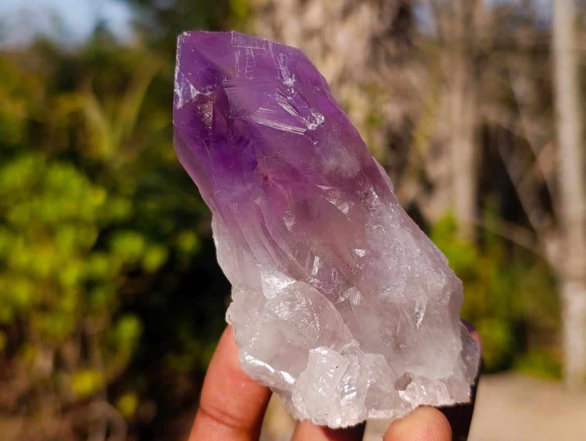 Natural Jacaranda Amethyst Single Crystals x 12 From Mumbwa, Zambia - Toprock Gemstones and Minerals 