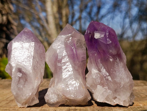 Natural Jacaranda Amethyst Single Crystals x 12 From Mumbwa, Zambia - Toprock Gemstones and Minerals 