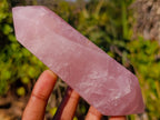 Polished Double Terminated Gemmy Rose Quartz Crystals x 6 From Madagascar - Toprock Gemstones and Minerals 