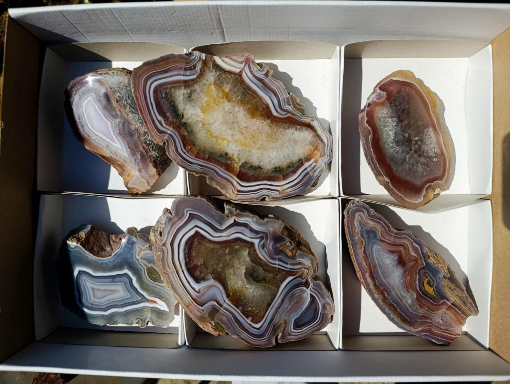 Polished One Side Red Shashe River Agate Slices x 6 From Shashe River, Zimbabwe - Toprock Gemstones and Minerals 