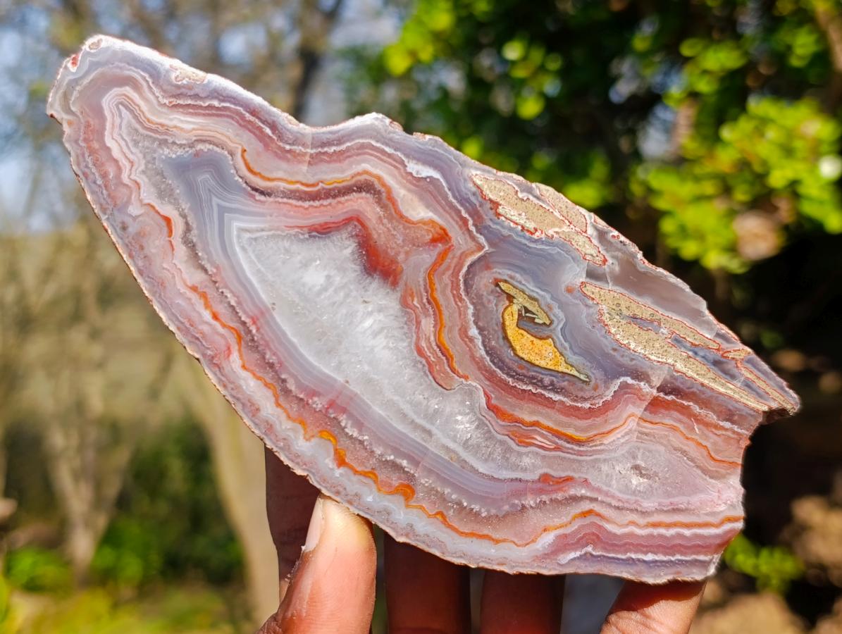 Polished One Side Red Shashe River Agate Slices x 6 From Shashe River, Zimbabwe - Toprock Gemstones and Minerals 